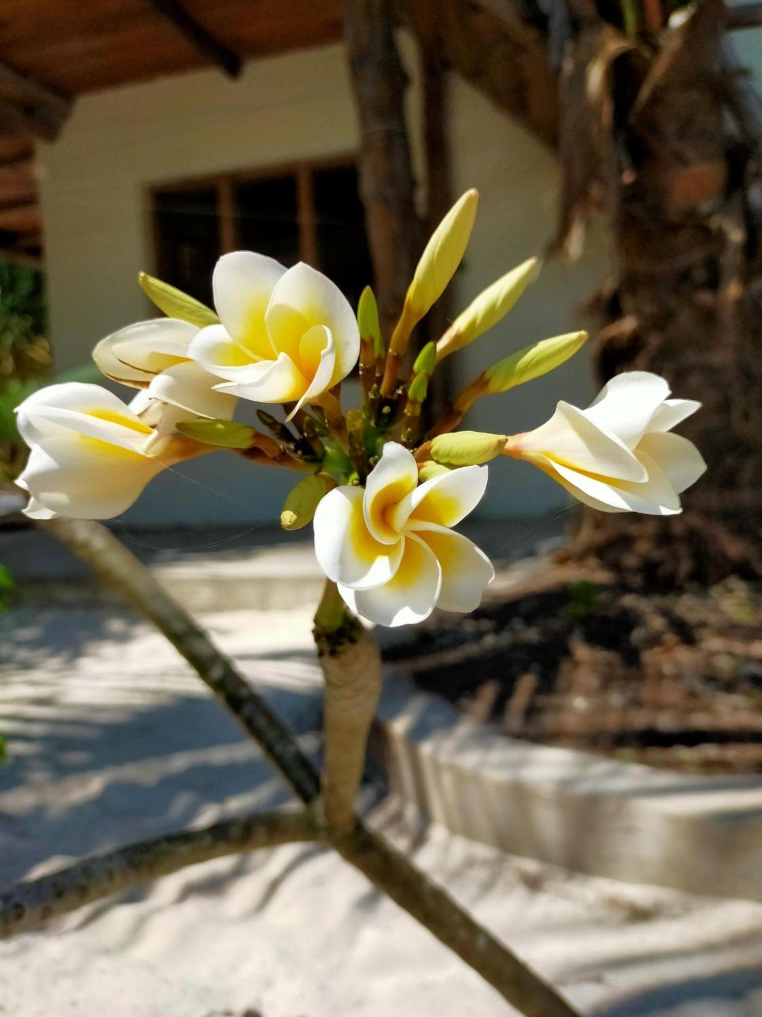 Eden Paradise Michamvi Kae Экстерьер фото